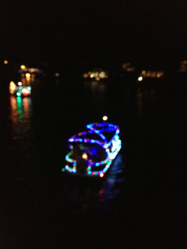 © irene waters 2015