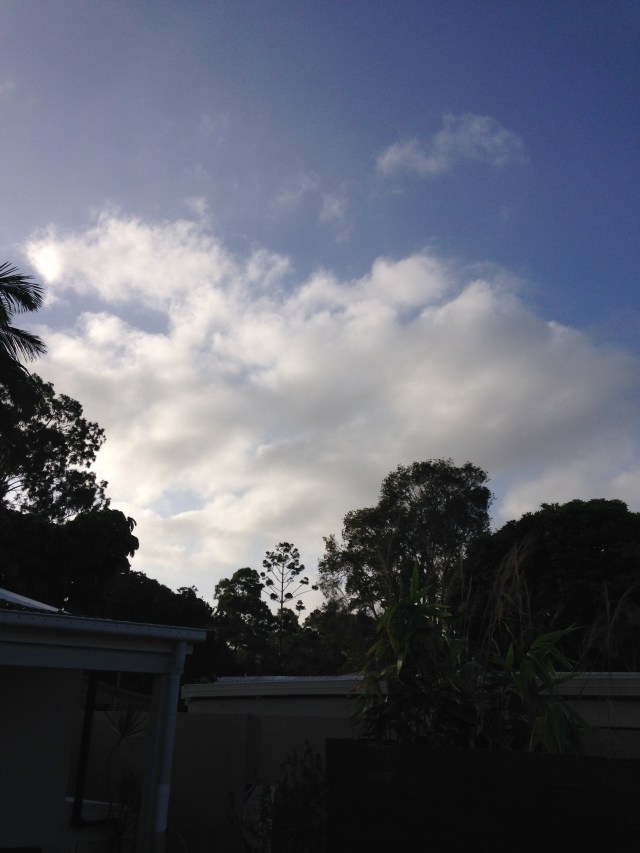 © irene waters 2015