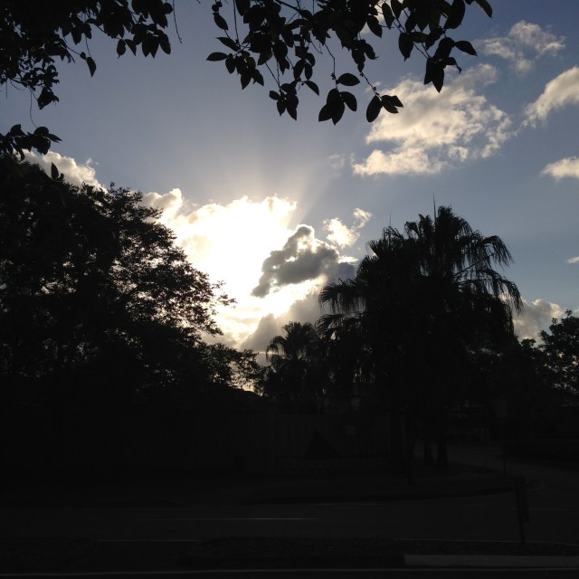 © irene waters 2015