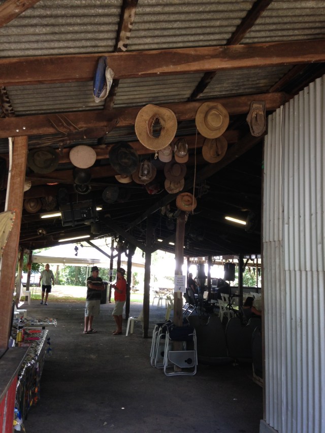 © irene waters 2015