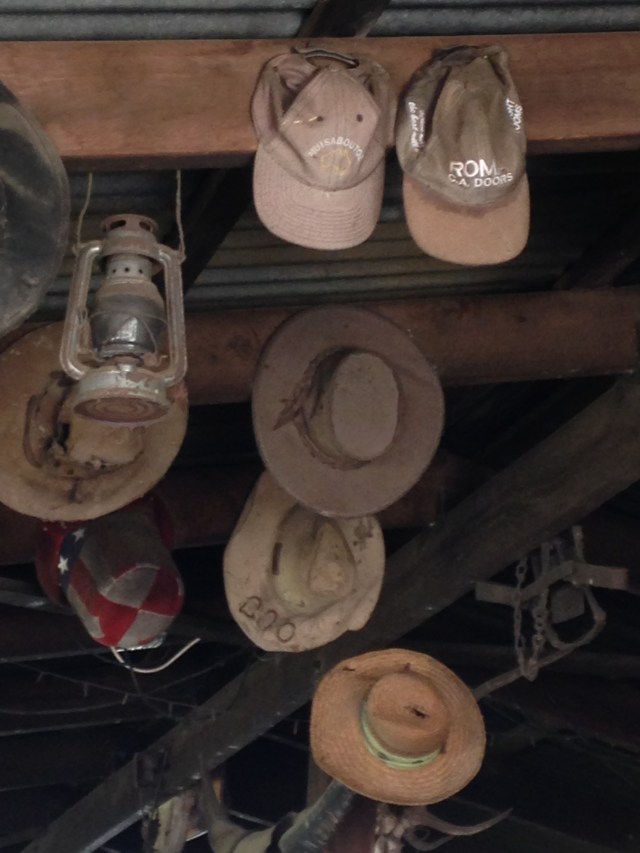 © irene waters 2015