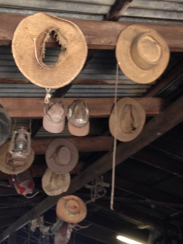 © irene waters 2015