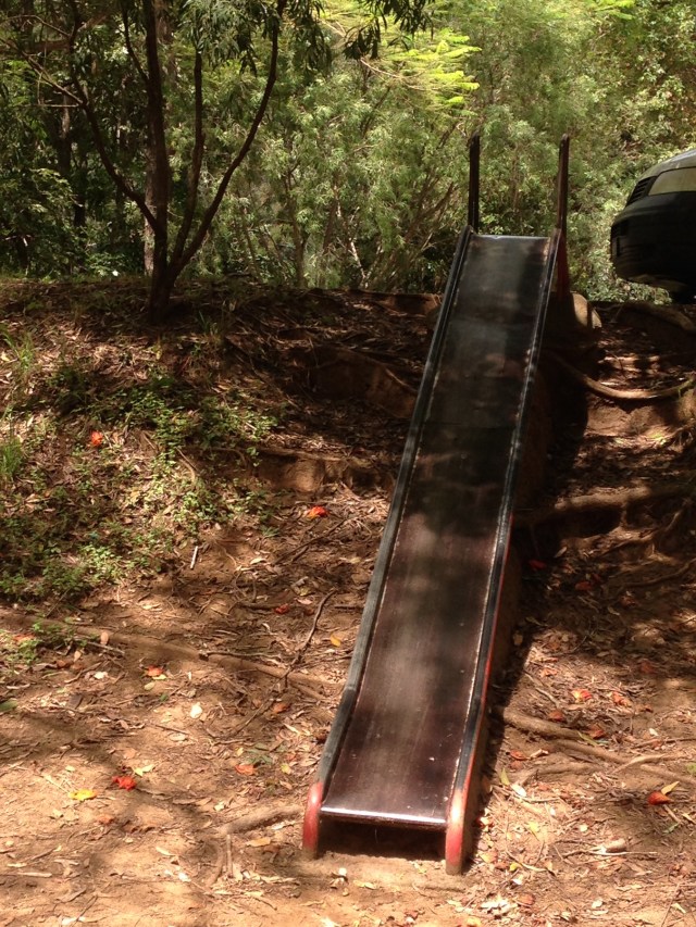 © irene waters 2015