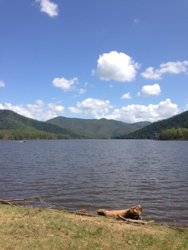 © irene waters 2015