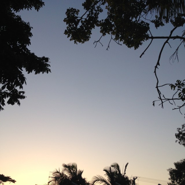 © irene waters 2015