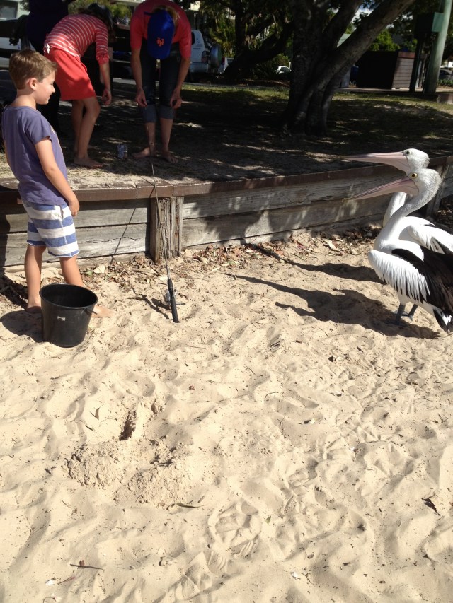 © irene waters 2015