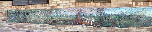 © irene waters 2015