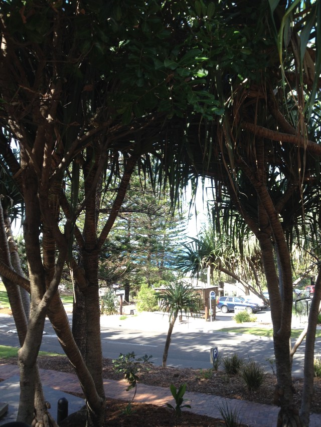 © irene waters 2015