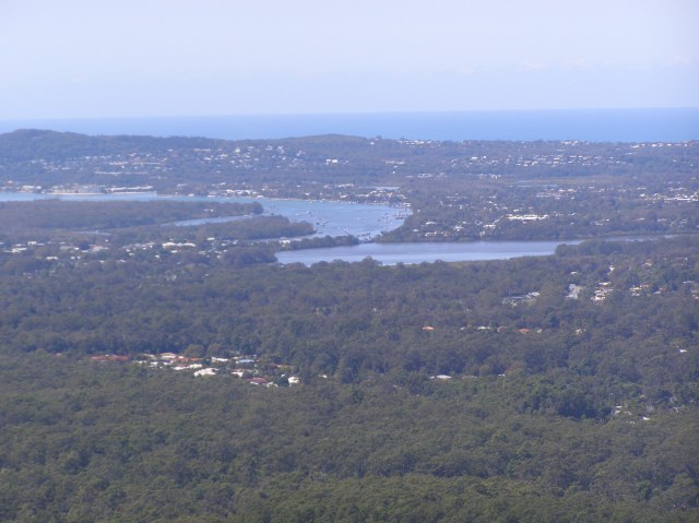 © irene waters 2015