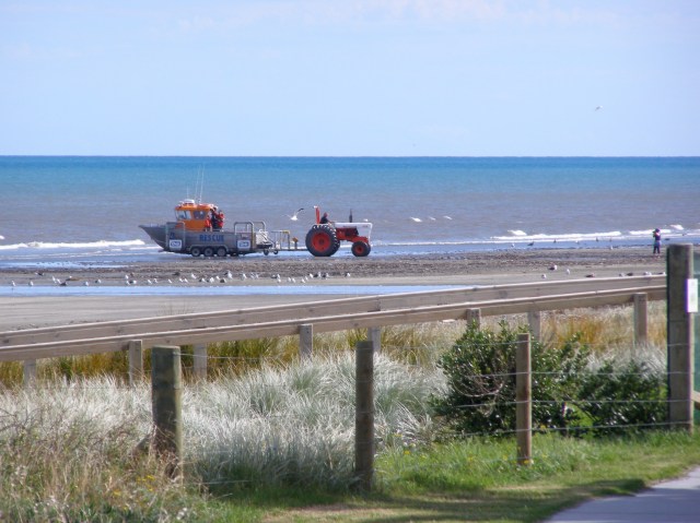 © irene waters 2015