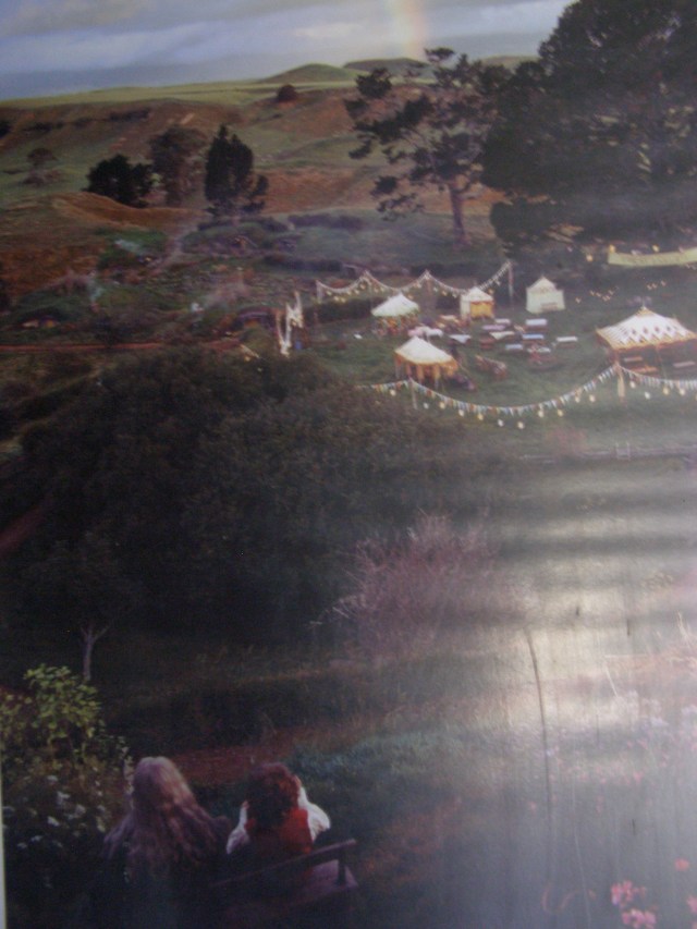 © irene waters 2015