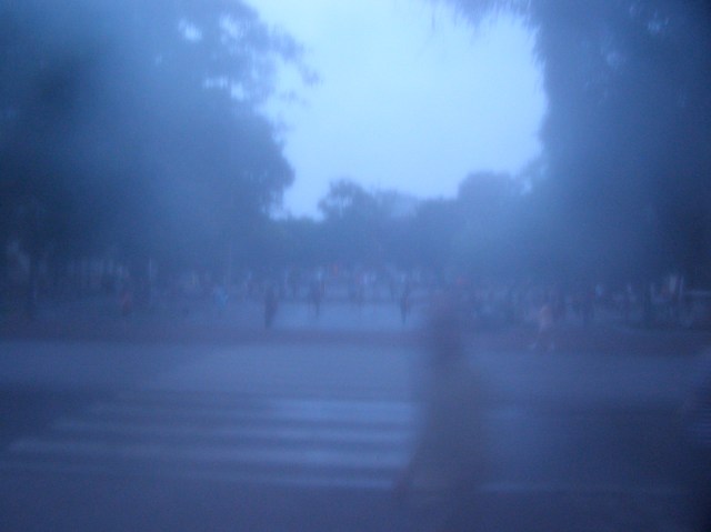 © irene waters 2015