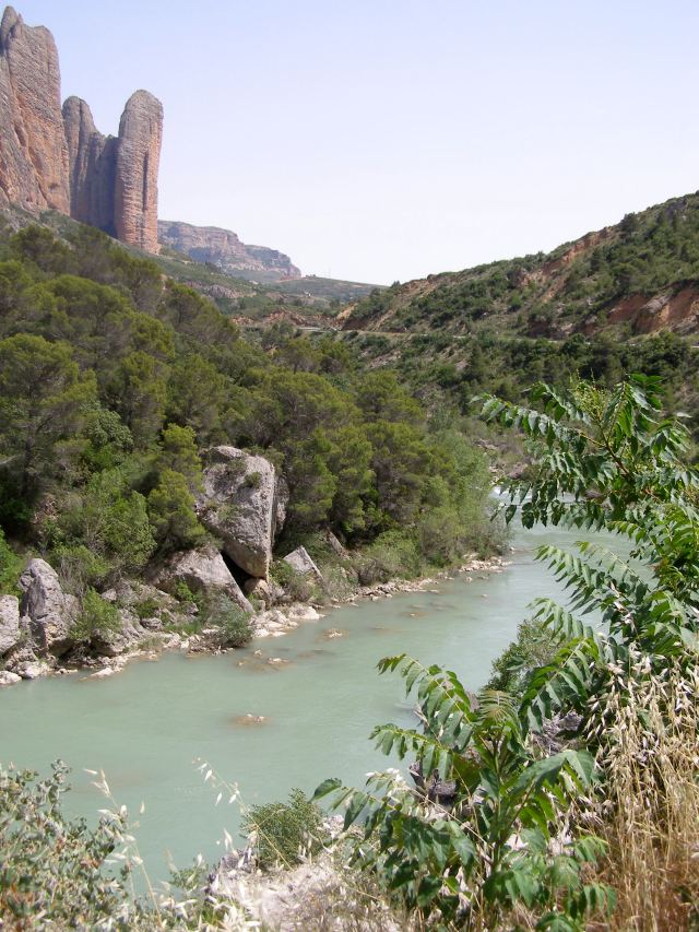 © irene waters 2015