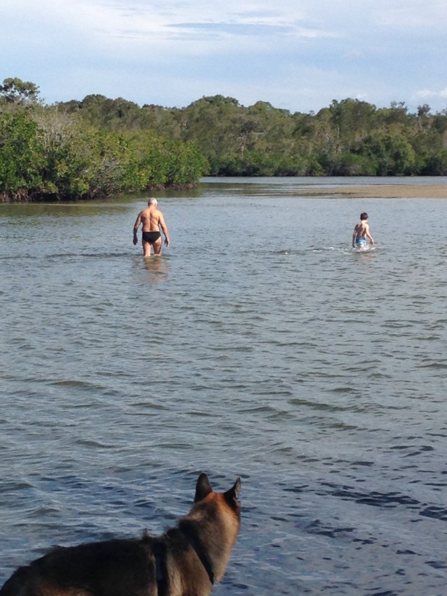 © irene waters 2015