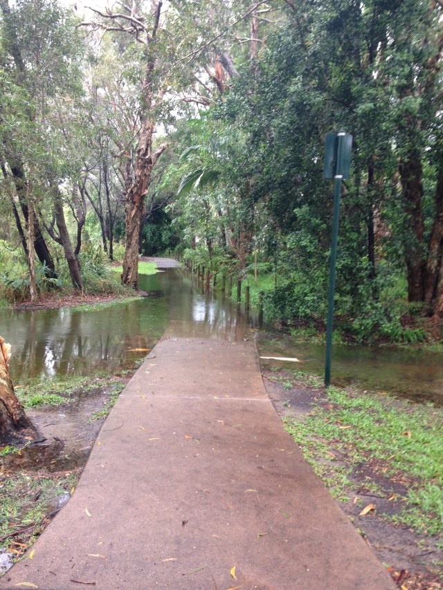 © irene waters 2015