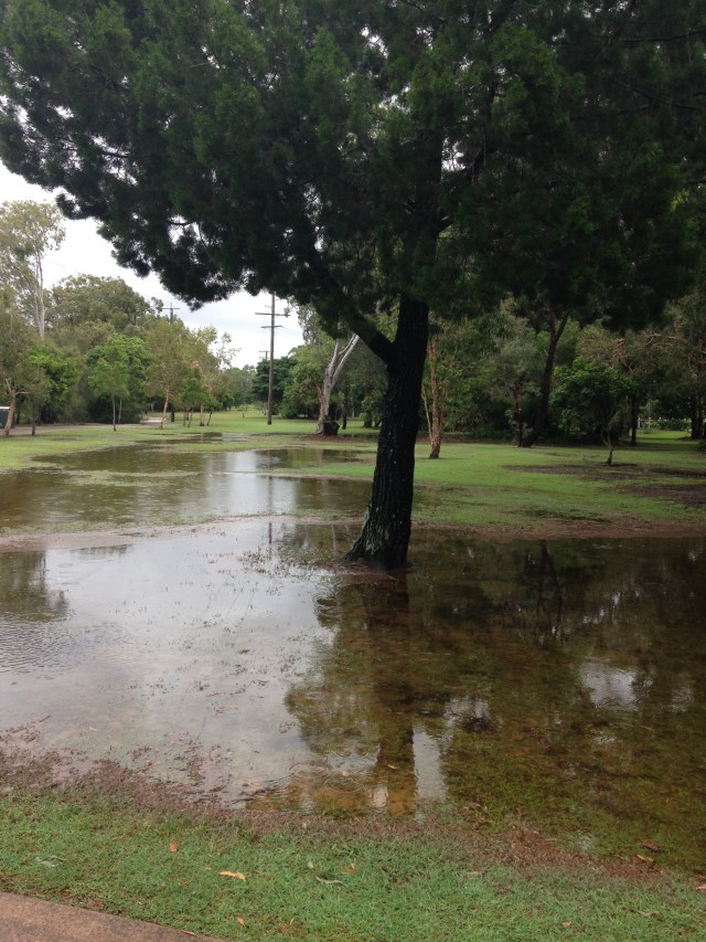 © irene waters 2015