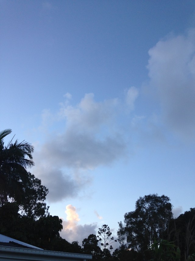 © irene waters 2015