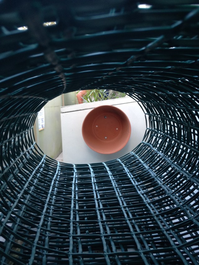 © irene waters 2015