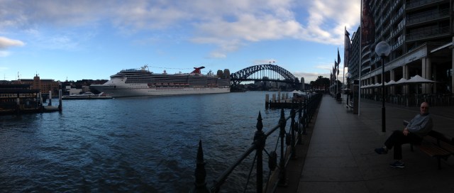 © irene waters 2015