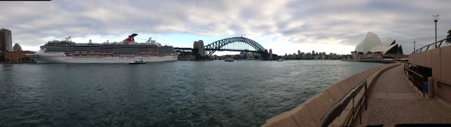 © irene waters 2015