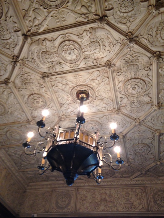 © irene waters 2015