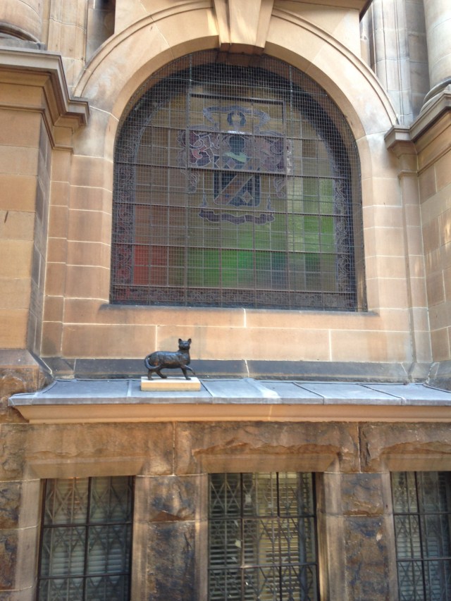 © irene waters 2015