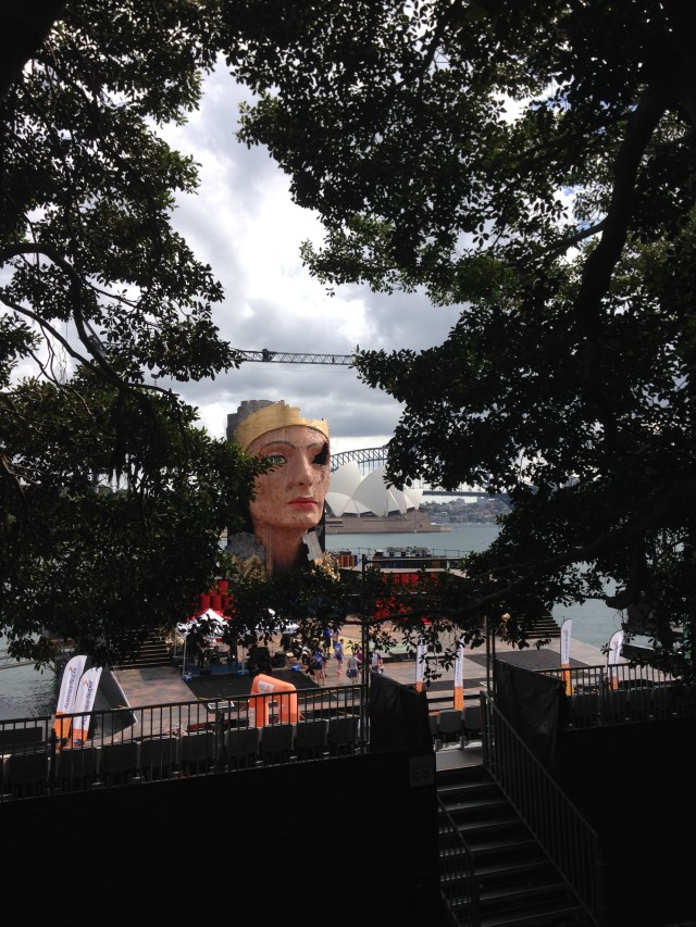 © irene waters 2015