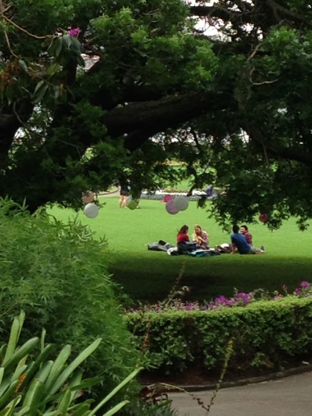 © irene waters 2015