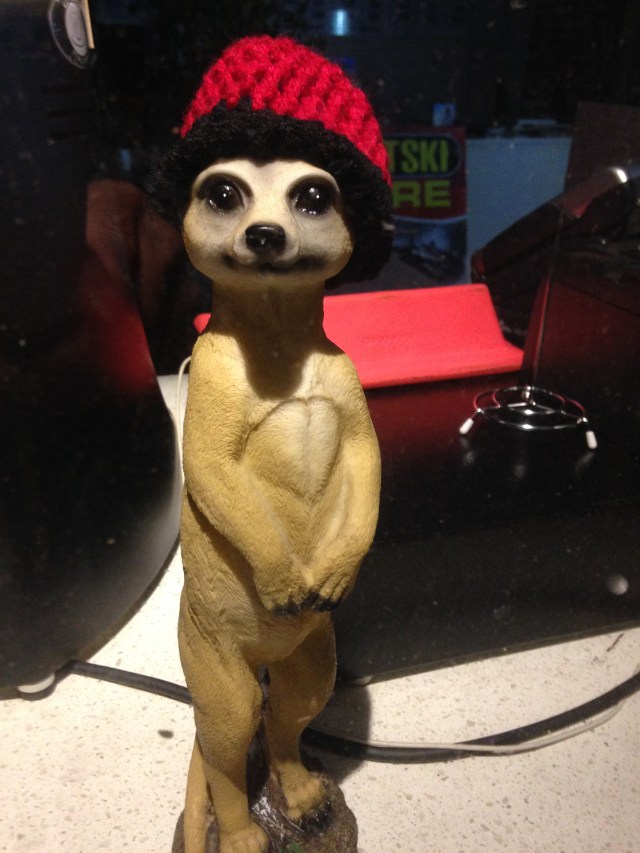 © irene waters 2015