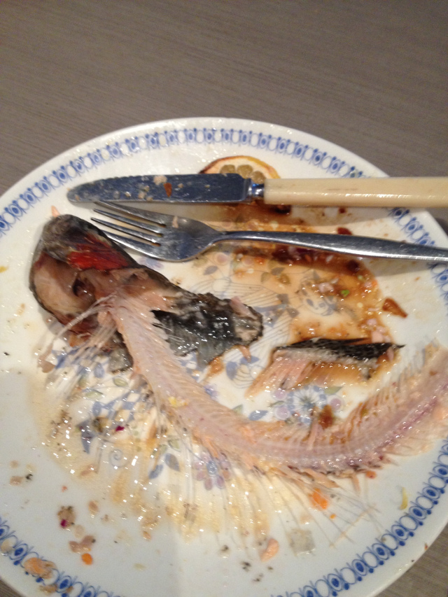 © irene waters 2015