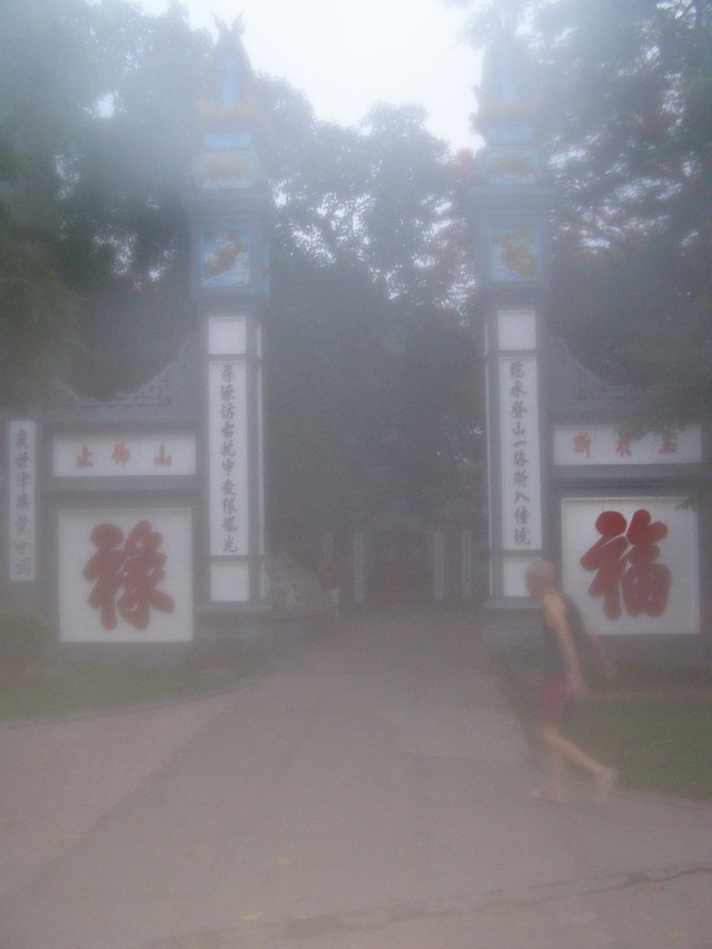 © irene waters 2015