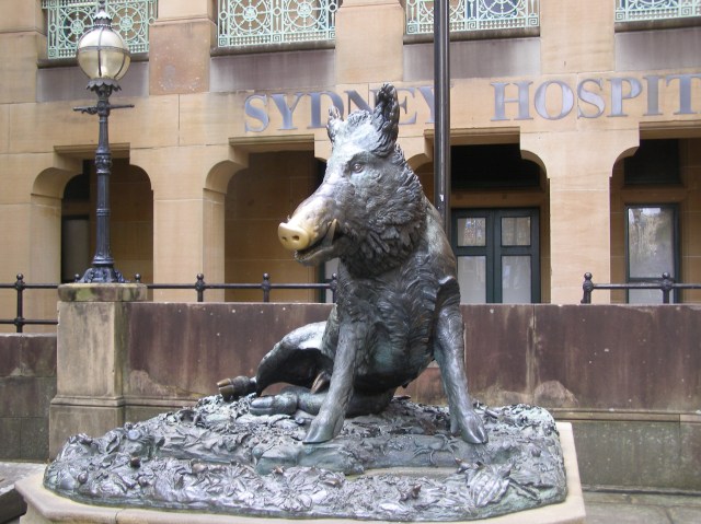 © irene waters 2015