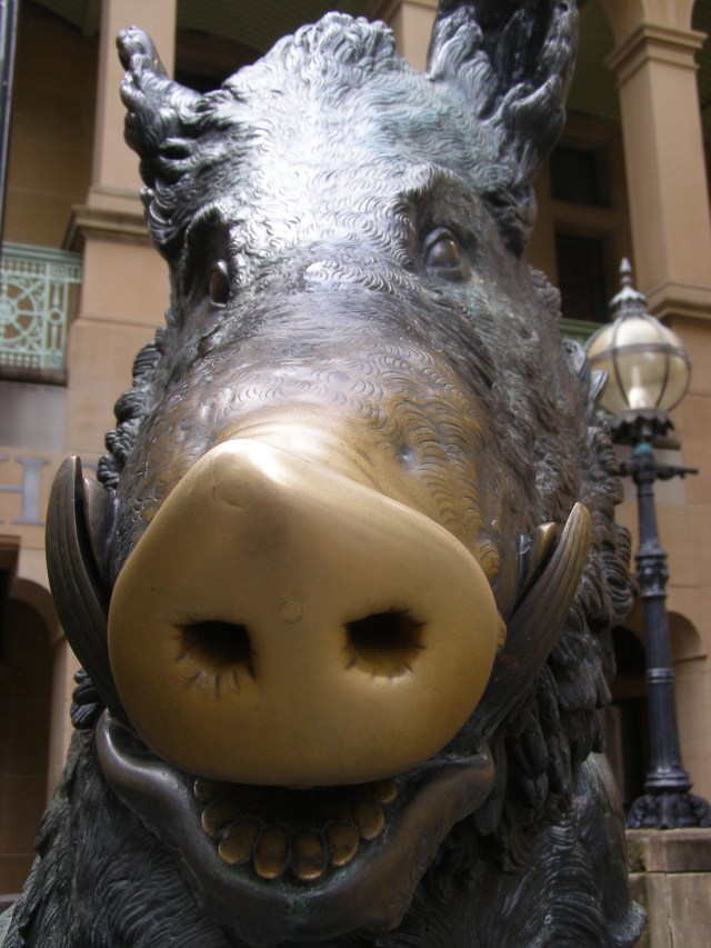 © irene waters 2015