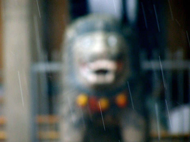 © irene waters 2015