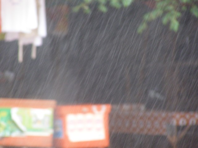 © irene waters 2015