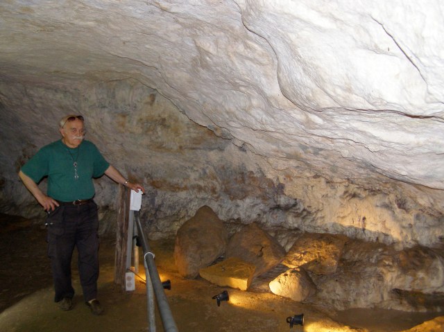 © irene waters 2015