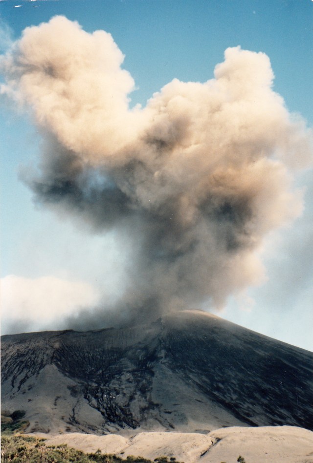 © irene waters 2015