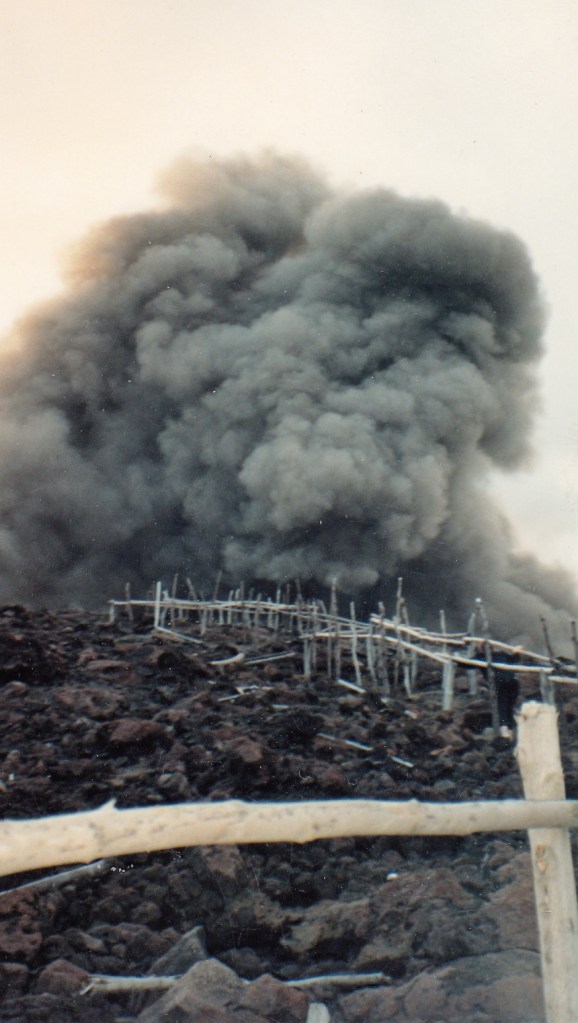 © irene waters 2015