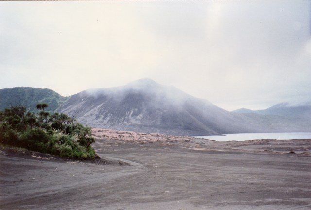 © irene waters 2015