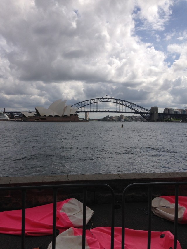 © irene waters 2015