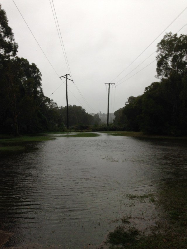 © irene waters 2015