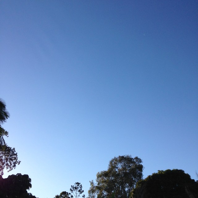 © irene waters 2015