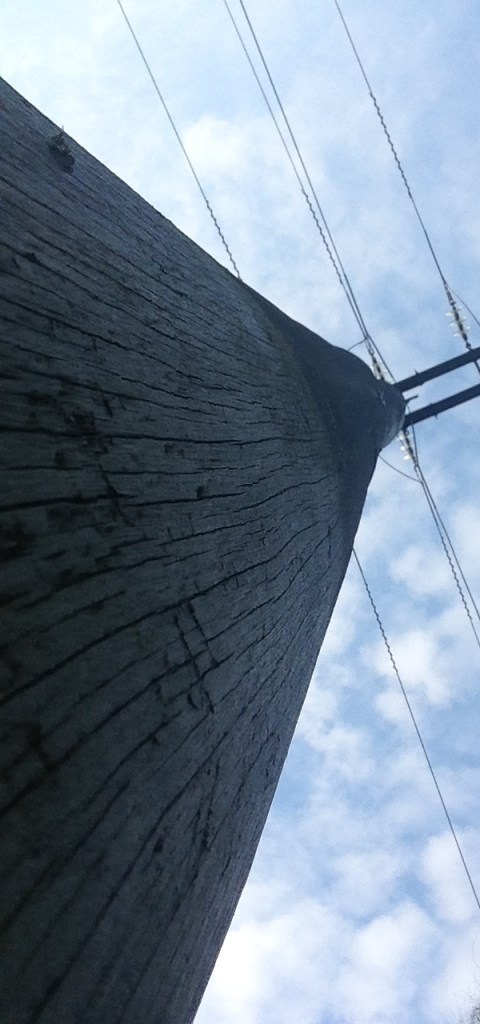 © irene waters 2015