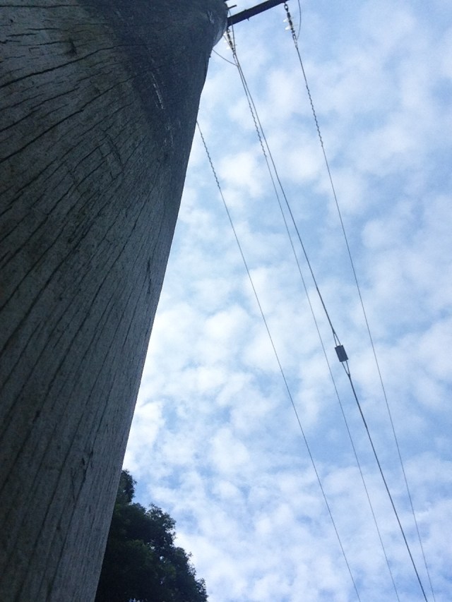 © irene waters 2015