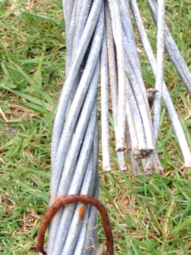 © irene waters 2015