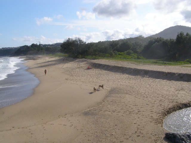 © irene waters 2015