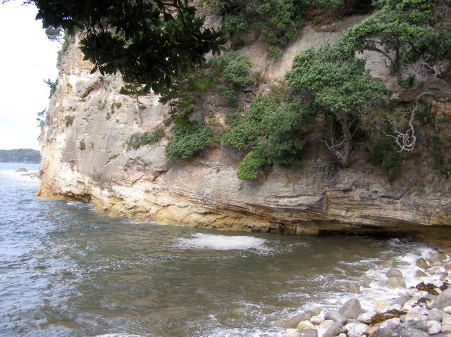 © irene waters 2015