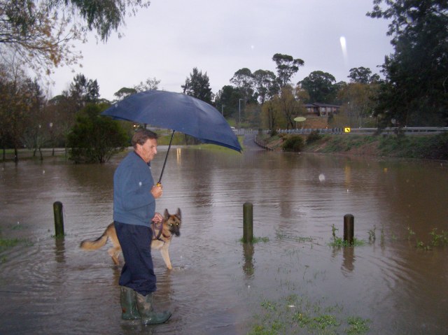 © irene waters 2015