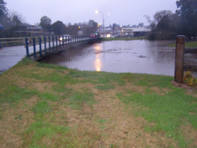 © irene waters 2015