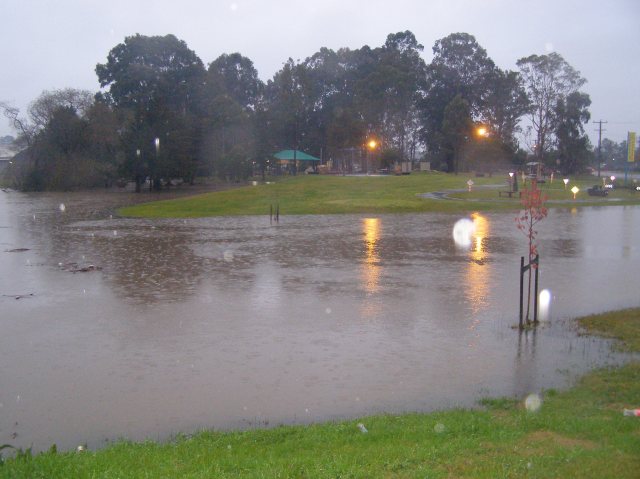 © irene waters 2015